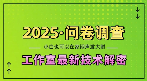 2025问卷调查最新工作室技术解密：一个人在家也可以闷声发大财，小白一天2张，可矩阵放大【揭秘】-第一资源库