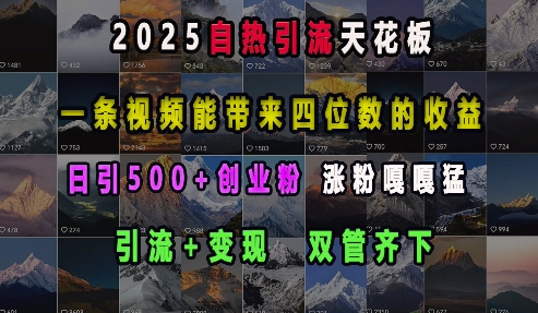 2025自热引流天花板，一条视频能带来四位数的收益，引流+变现双管齐下，日引500+创业粉，涨粉嘎嘎猛-第一资源库