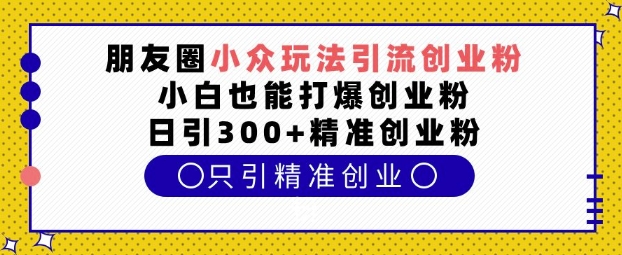 朋友圈小众玩法引流创业粉，小白也能打爆创业粉，日引300+精准创业粉【揭秘】-第一资源库