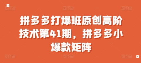 拼多多打爆班原创高阶技术第41期，拼多多小爆款矩阵-第一资源库