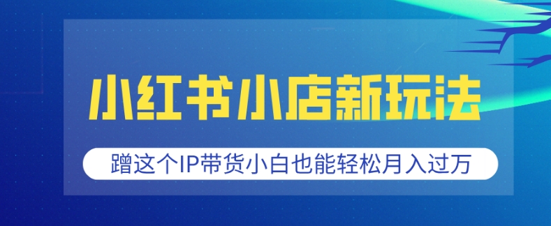 小红书小店新玩法，蹭这个IP带货，小白也能轻松月入过W【揭秘】-第一资源库