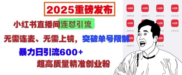 2025重磅发布：小红书直播间连怼引流，无需连麦、无需上镜，突破单号限制，暴力日引流600+-第一资源库