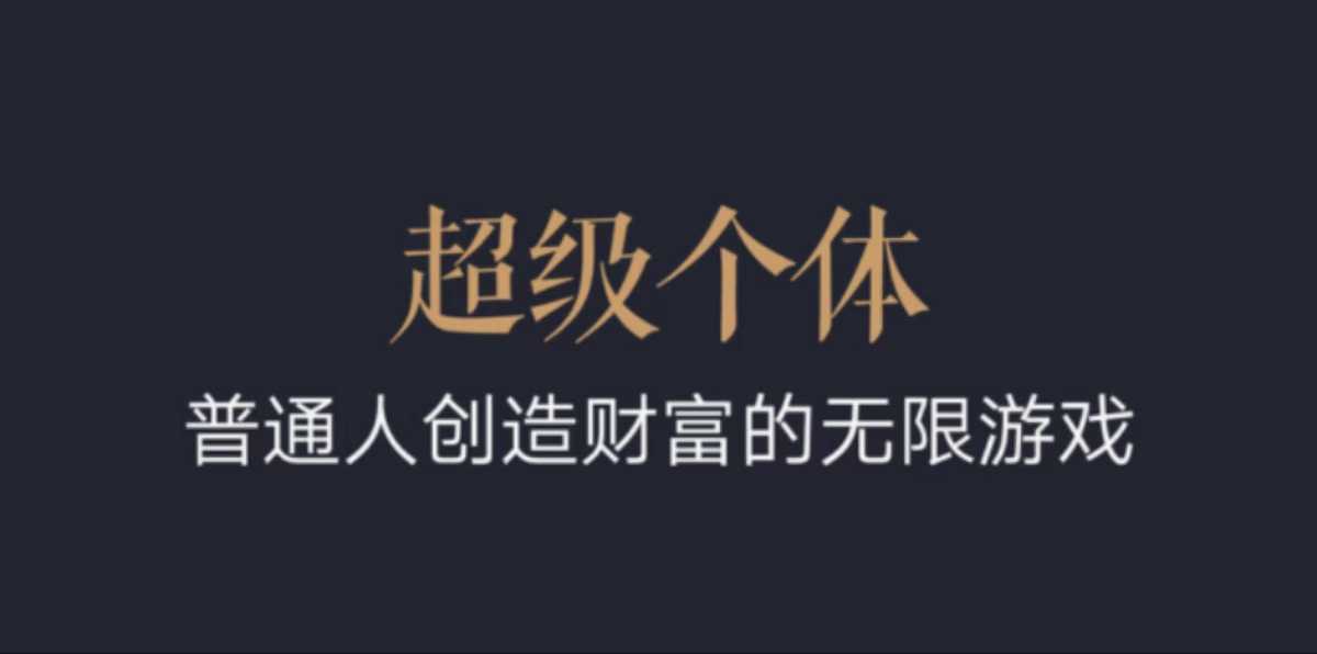 超级个体：2024-2025翻盘指南，普通人创造财富的无限游戏-第一资源库