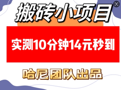 搬砖小项目，实测10分钟14元秒到，每天稳定几张(赠送必看稳定)-第一资源库