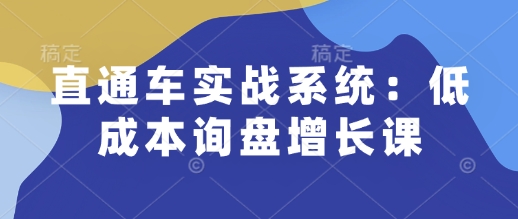 直通车实战系统：低成本询盘增长课，让个人通过技能实现升职加薪，让企业低成本获客，订单源源不断-第一资源库