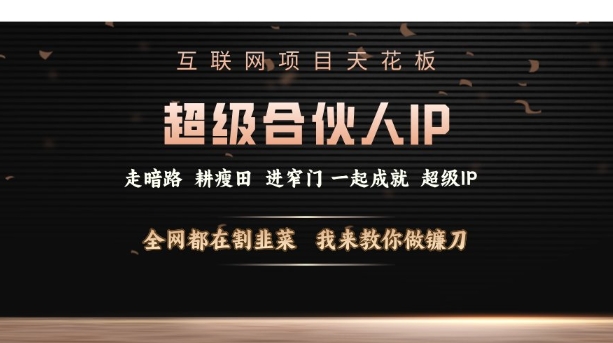 互联网项目天花板，超级合伙人IP，全网都在割韭菜，我来教你做镰刀【仅揭秘】-第一资源库