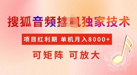 全网首发搜狐音频挂JI独家技术，项目红利期，可矩阵可放大，稳定月入8k【揭秘】-第一资源库