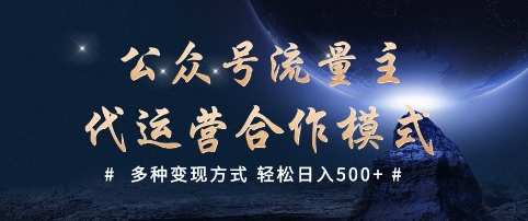 公众号流量主代运营  多种变现方式 轻松日入5张【揭秘】-第一资源库