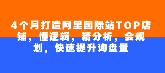 4个月打造阿里国际站TOP店铺，懂逻辑，精分析，会规划，快速提升询盘量-第一资源库