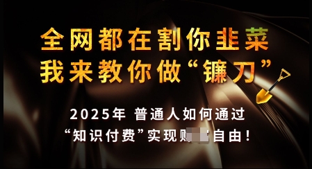 知识付费如何做到月入过W+，2025我来教你做“镰刀”【揭秘】-第一资源库