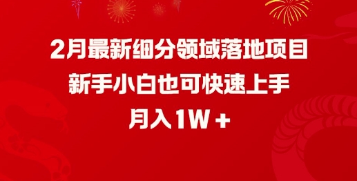 2月最新细分领域落地项目，新手小白也可快速上手，月入1W-第一资源库