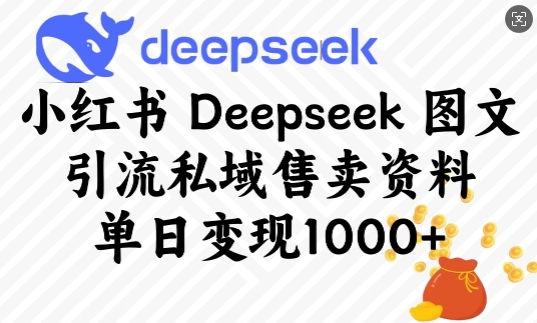 小红书Deepseek图文引流私域售卖资料，单日变现多张-第一资源库