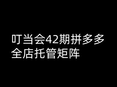 叮当会拼多多打爆班原创高阶技术第42期，拼多多全店托管矩阵-第一资源库