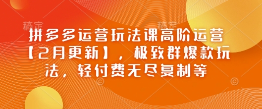 拼多多运营玩法课高阶运营【2月更新】，极致群爆款玩法，轻付费无尽复制等-第一资源库