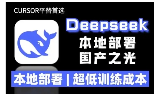 2025年deepseek R1 大型模型本地安装部署(文件+教程)本地部署，超低训练成本-第一资源库