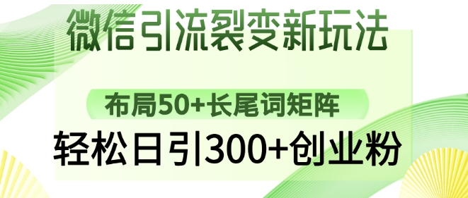 微信引流裂变新玩法：布局50+长尾词矩阵，轻松日引300+创业粉-第一资源库