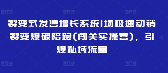 裂变式发售增长系统1场极速动销裂变爆破陪跑(闯关实操营)，引爆私域流量-第一资源库