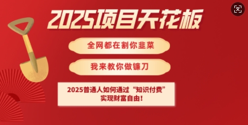 2025项目天花板普通人如何通过知识付费，实现财F自由【揭秘】-第一资源库