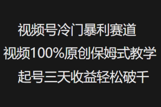 视频号冷门暴利赛道视频100%原创保姆式教学起号三天收益轻松破千-第一资源库