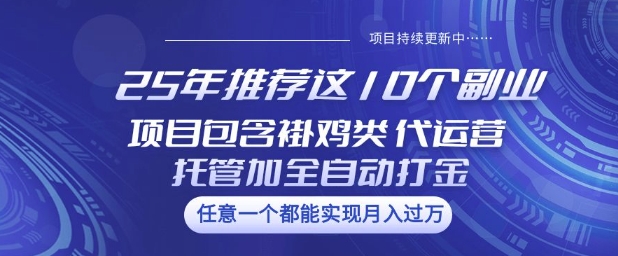 25年推荐这10个副业项目包含褂鸡类、代运营托管类、全自动打金类【揭秘】-第一资源库